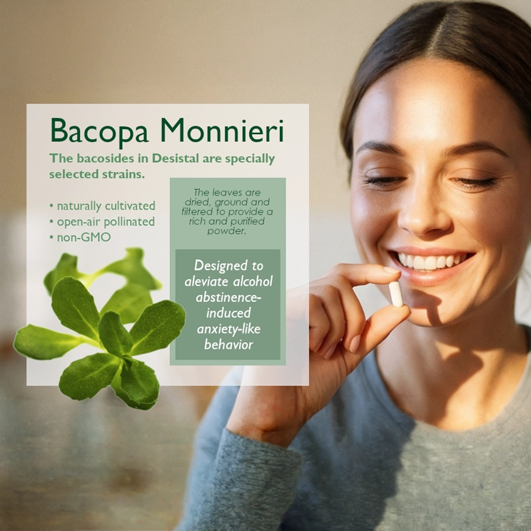 Bacopa Monnieri.webp