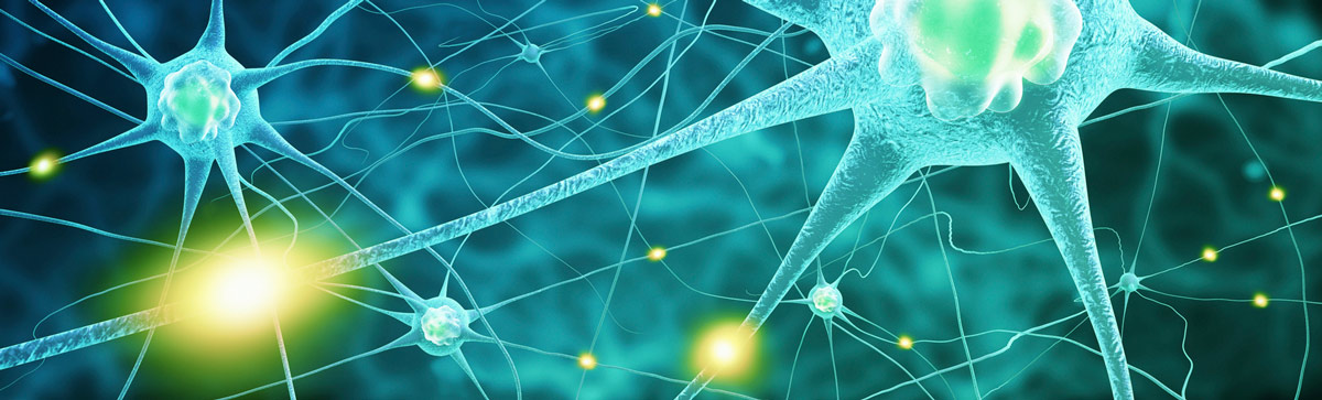Natural Antidepressants: Nature's Mental Wellness Helpers