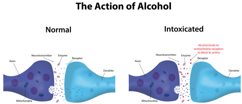 Neurotransmitters and action ofalcohol