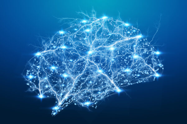 human brain electric 