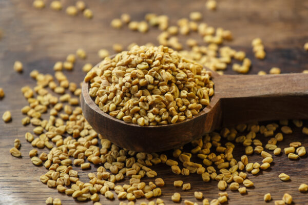 Fenugreek seeds in a spoon