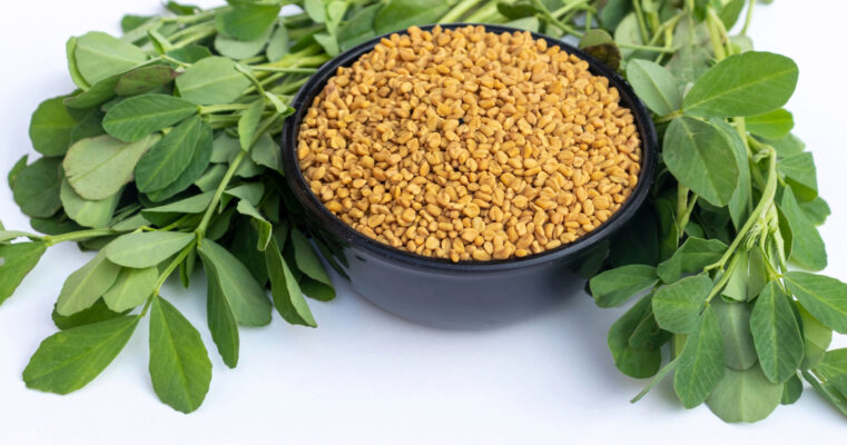 Fenugreek Seed or Methi Seeds in a Black Bowl Isolated on White Background in Horizontal Orientation