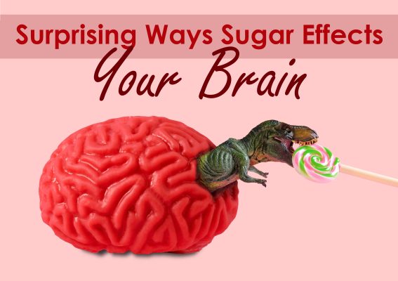 T-rex coming out a brain to eat candy representing the brains limbic system