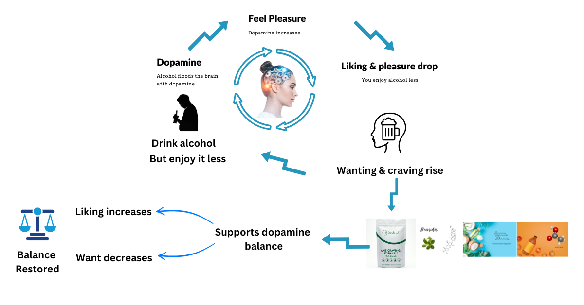 Cravings cycle dopamine and desistal
