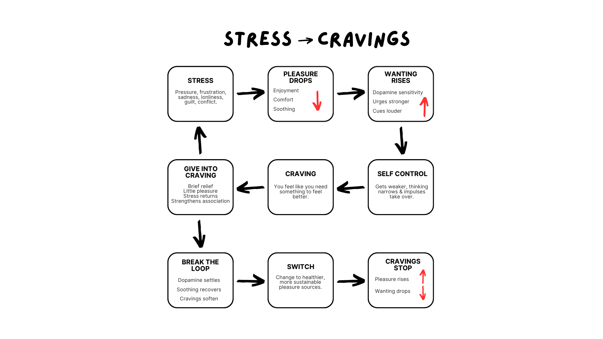 stress dopamine cravings cycle